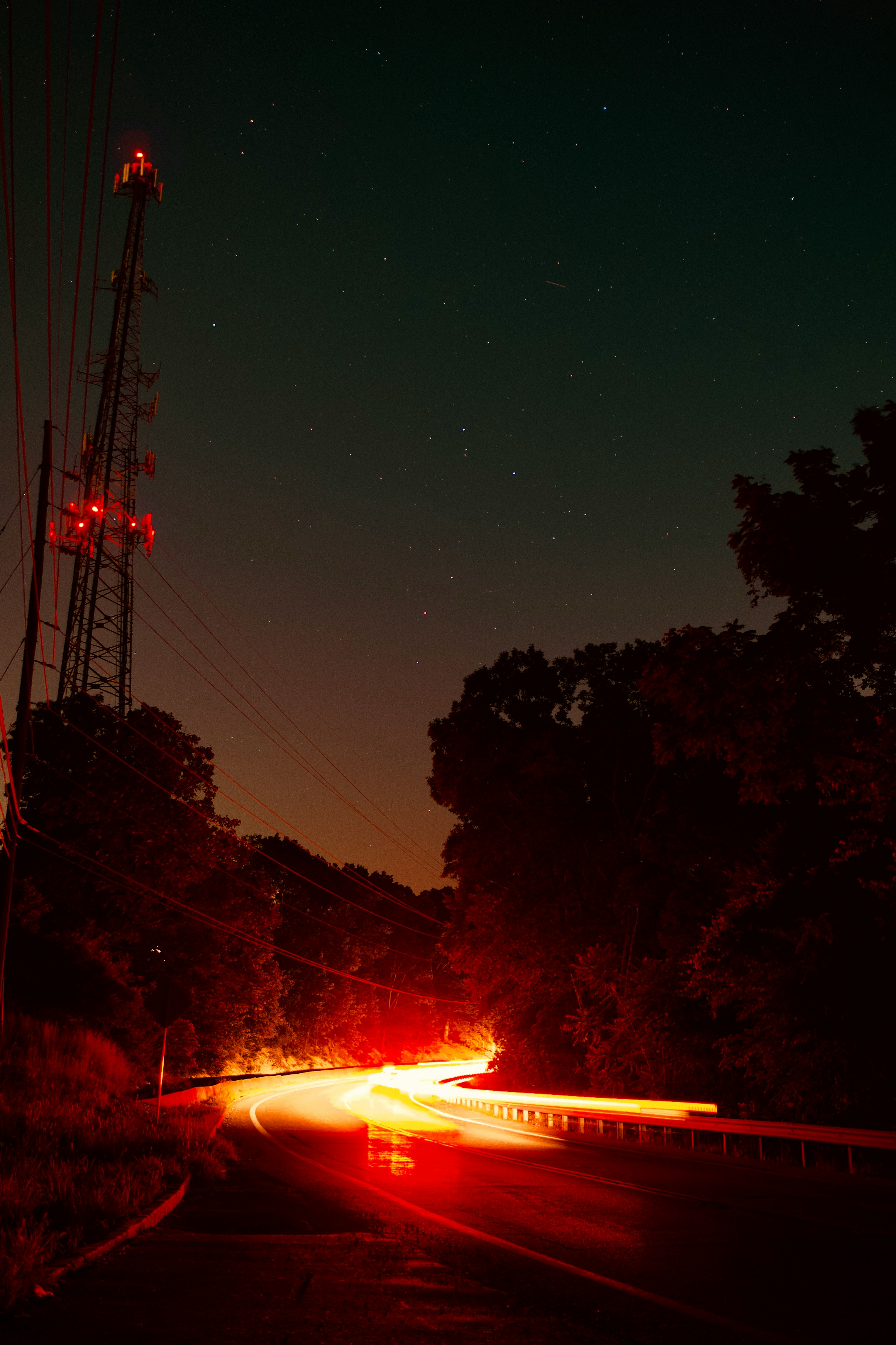 silhouette of trees under starry night